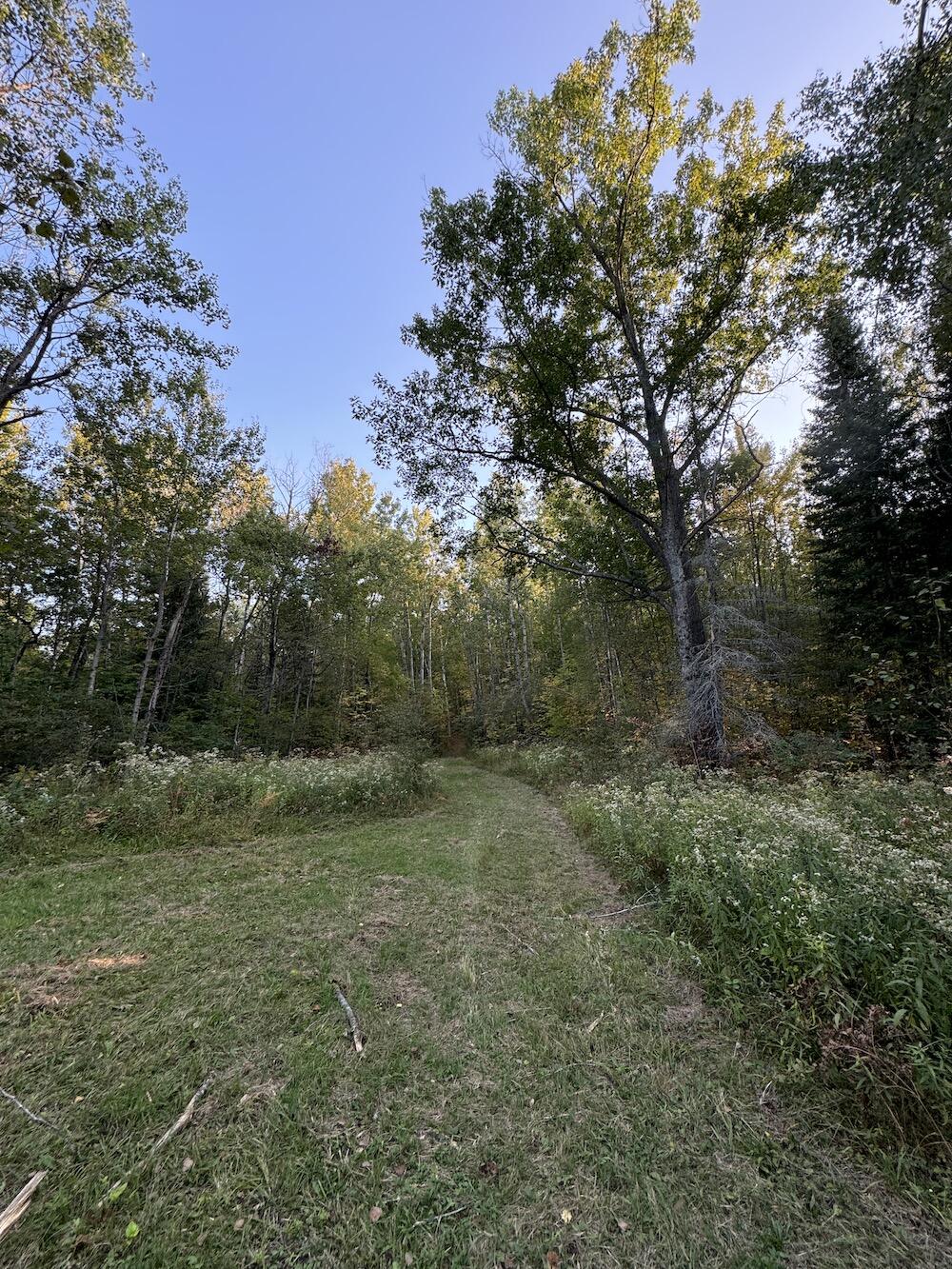 2635 Thayer Road Lupton, MI 48635 - Photo 72 of 128 IMG_5445
