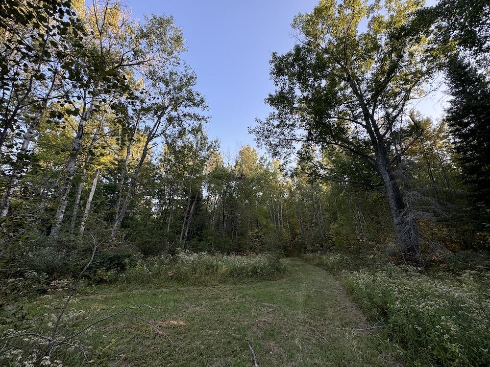 2635 Thayer Road Lupton, MI 48635 - Photo 73 of 128 IMG_5446
