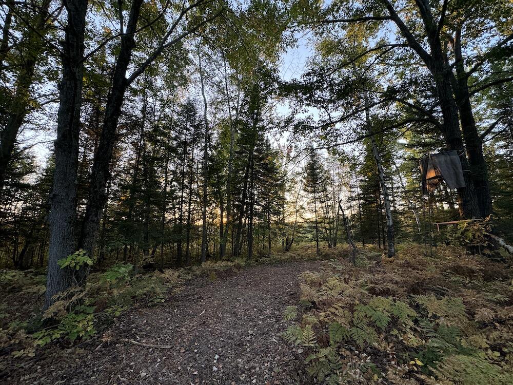 2635 Thayer Road Lupton, MI 48635 - Photo 82 of 128 IMG_5460