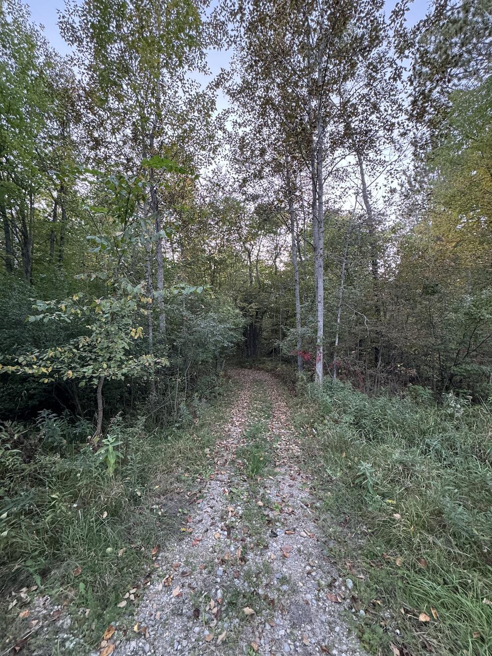 2635 Thayer Road Lupton, MI 48635 - Photo 85 of 128 IMG_5463