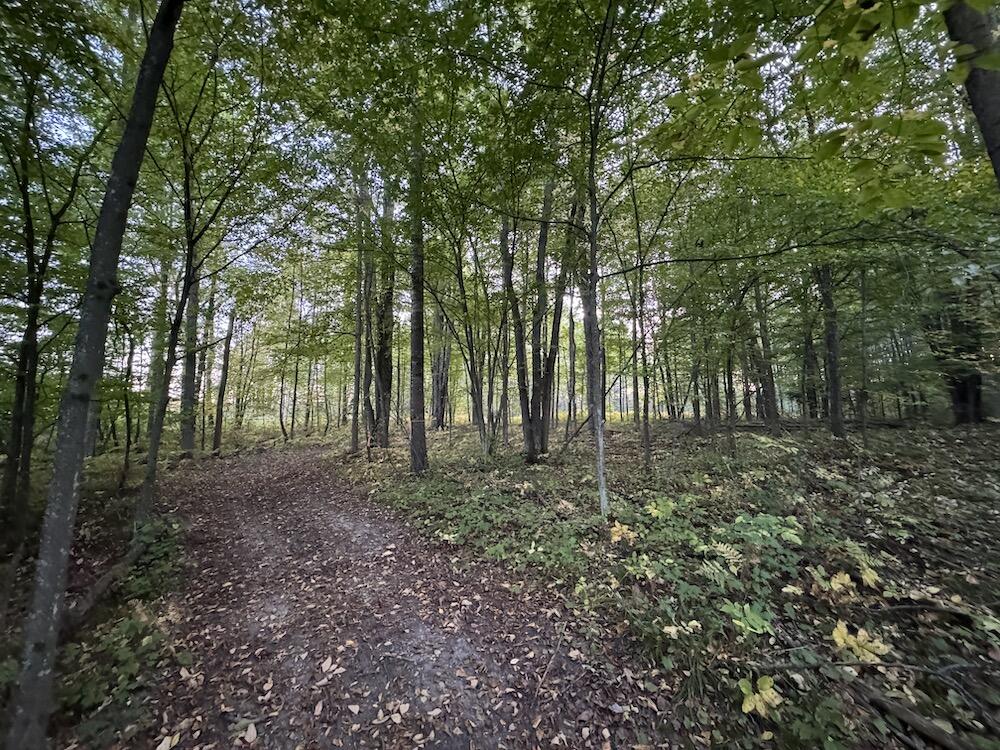 2635 Thayer Road Lupton, MI 48635 - Photo 87 of 128 IMG_5465