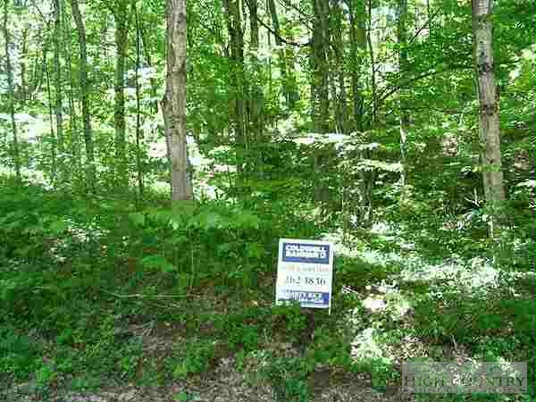 a sign that is sitting in a forest