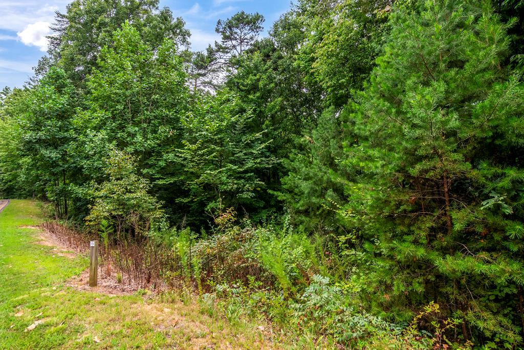 Lot 9-10 Abbott Mill Road Ellijay, GA 30540 - Photo 1 of 25 Main View