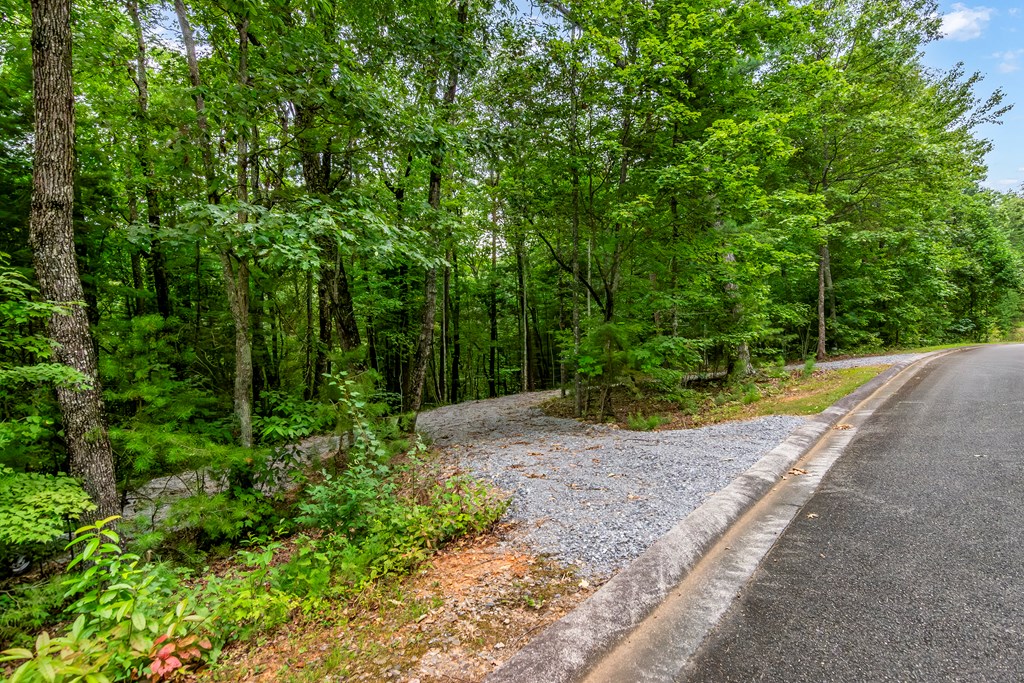Lot 9-10 Abbott Mill Road Ellijay, GA 30540 - Photo 6 of 25 Gallery Image 6