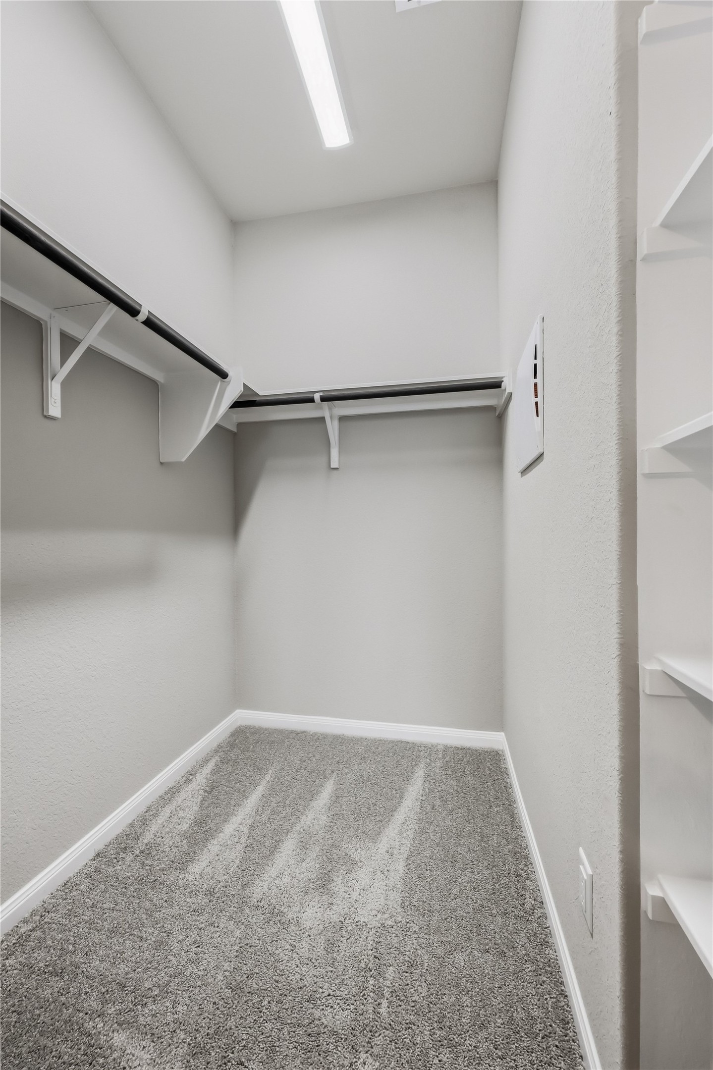 5331 Bruno Street Round Rock, TX 78665 - Photo 34 of 40