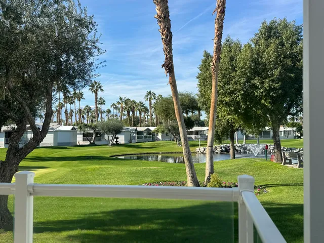 a view of a park with large trees