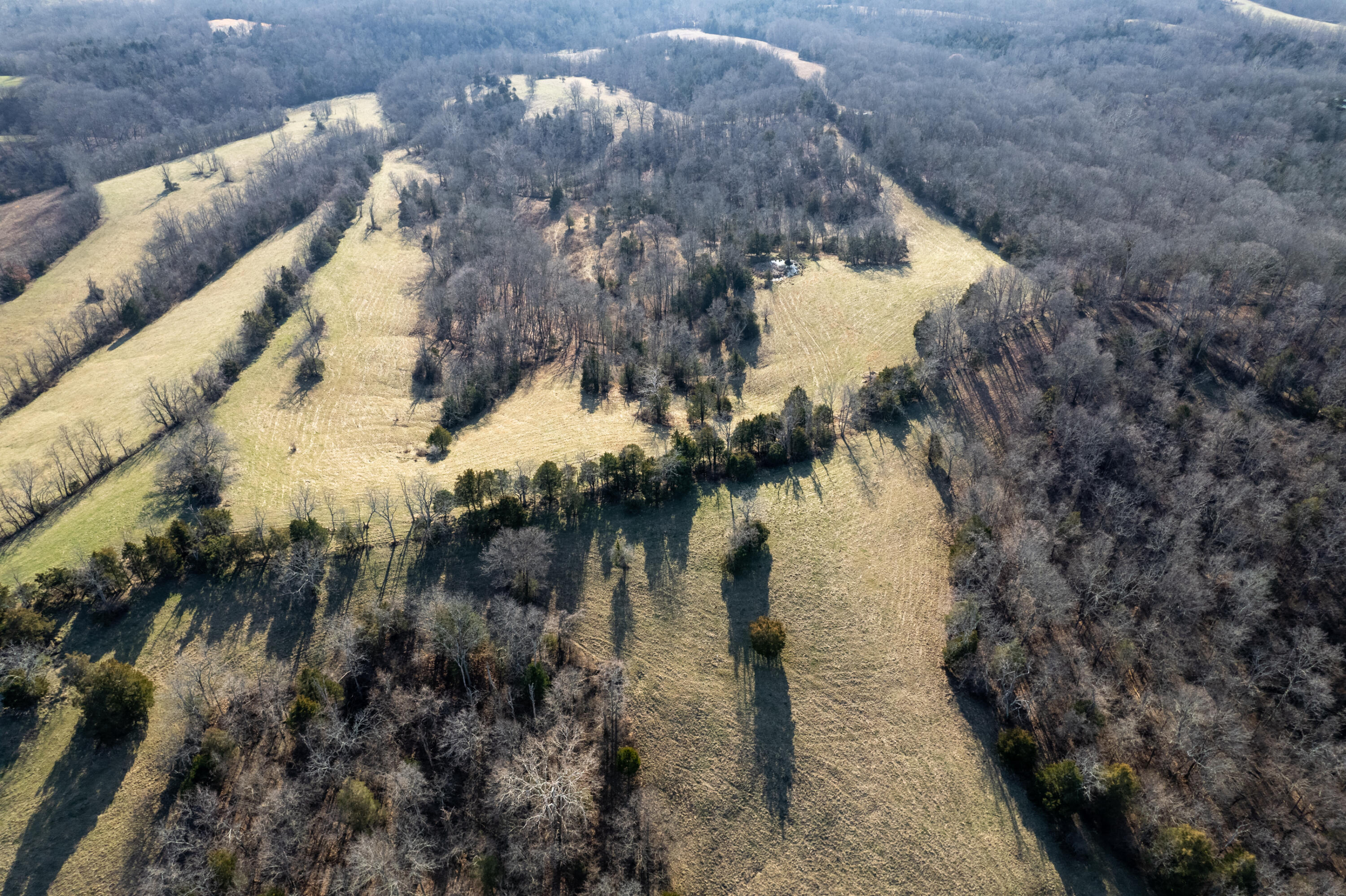 1240 Leaning Oak Road Corinth, KY 41010 - Photo 14 of 43 Gallery Image 14