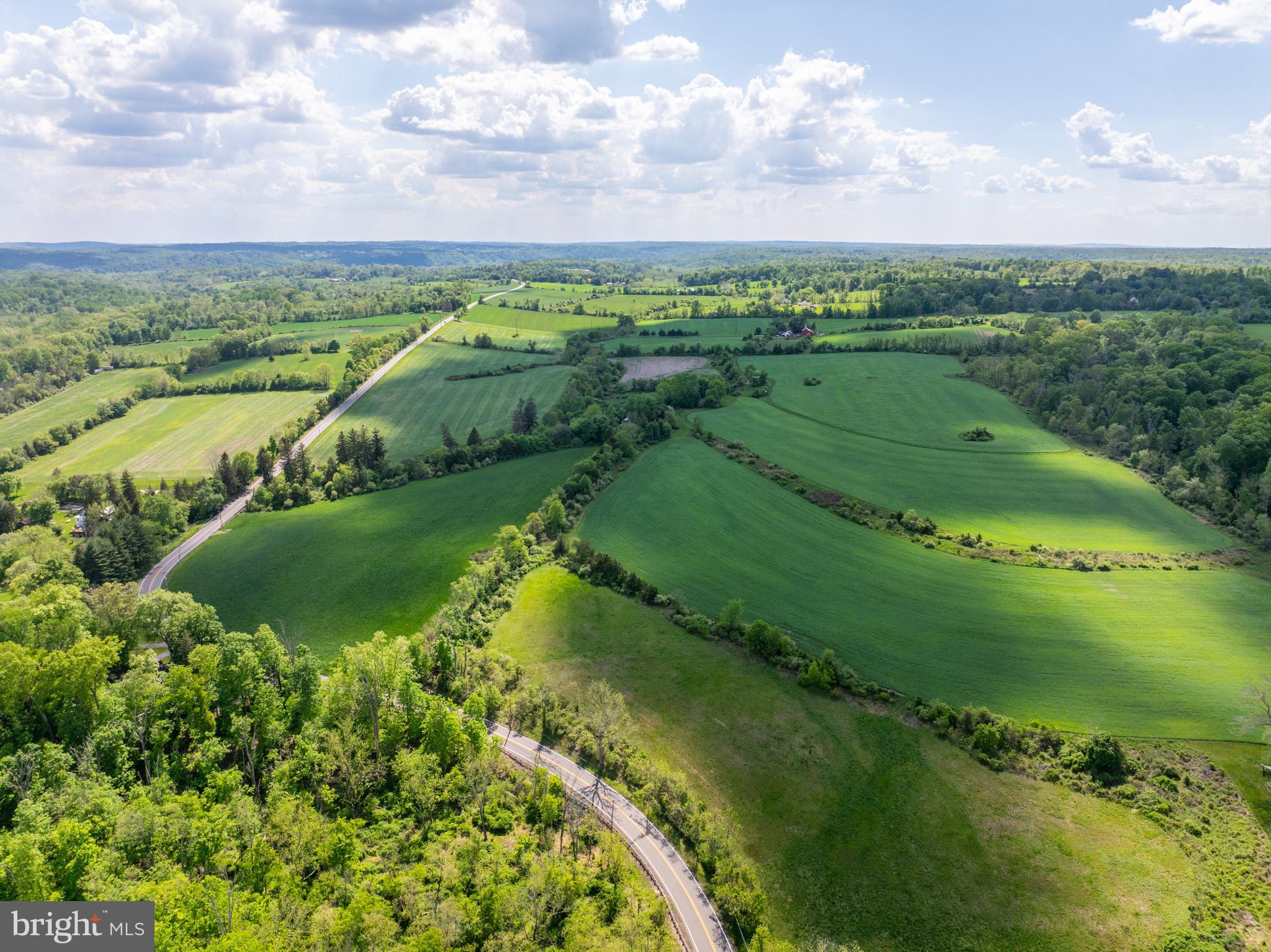 722 Rosemont Ringoes Road Stockton, NJ 08559 - Photo 3 of 39