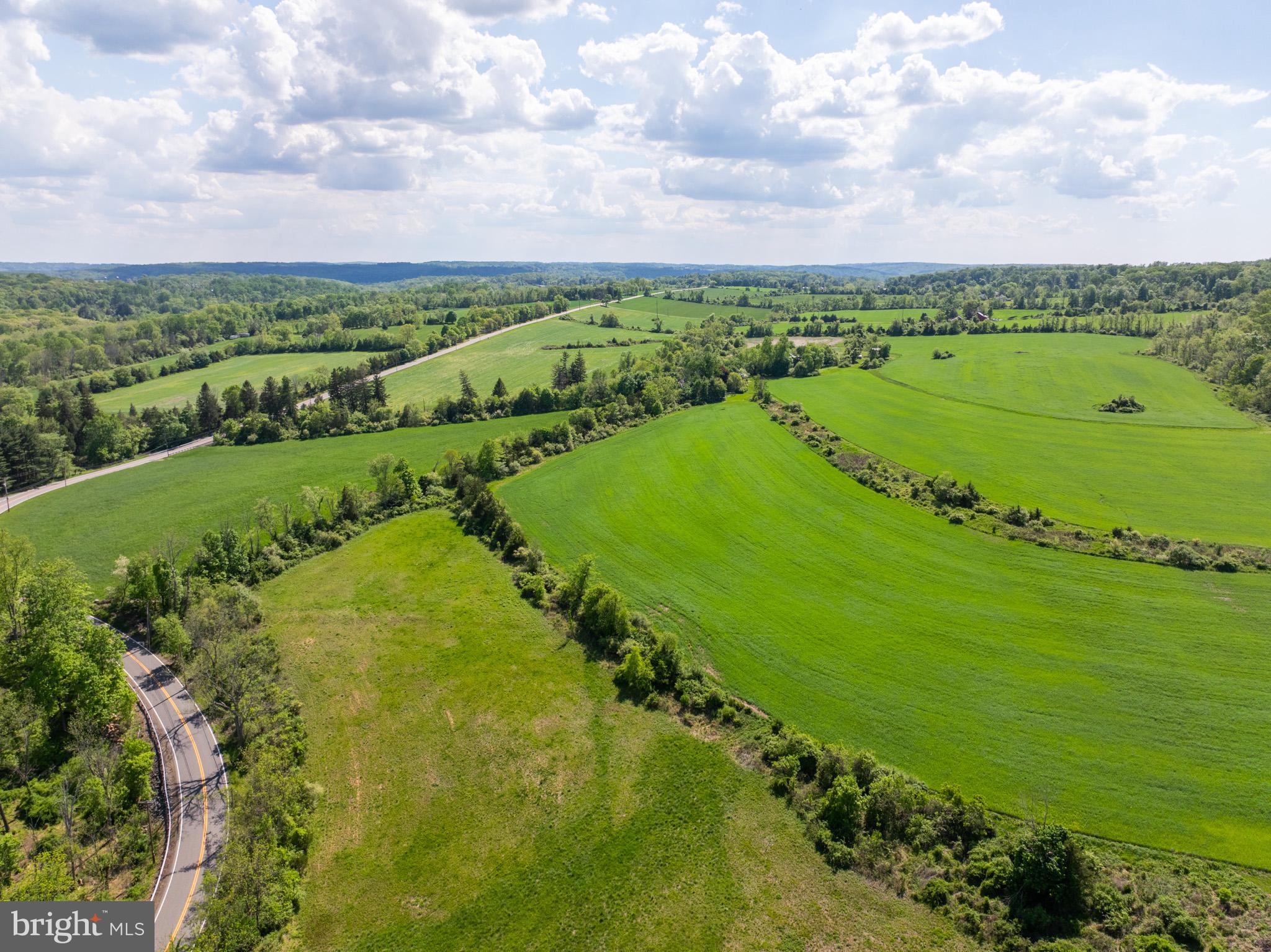 722 Rosemont Ringoes Road Stockton, NJ 08559 - Photo 4 of 39