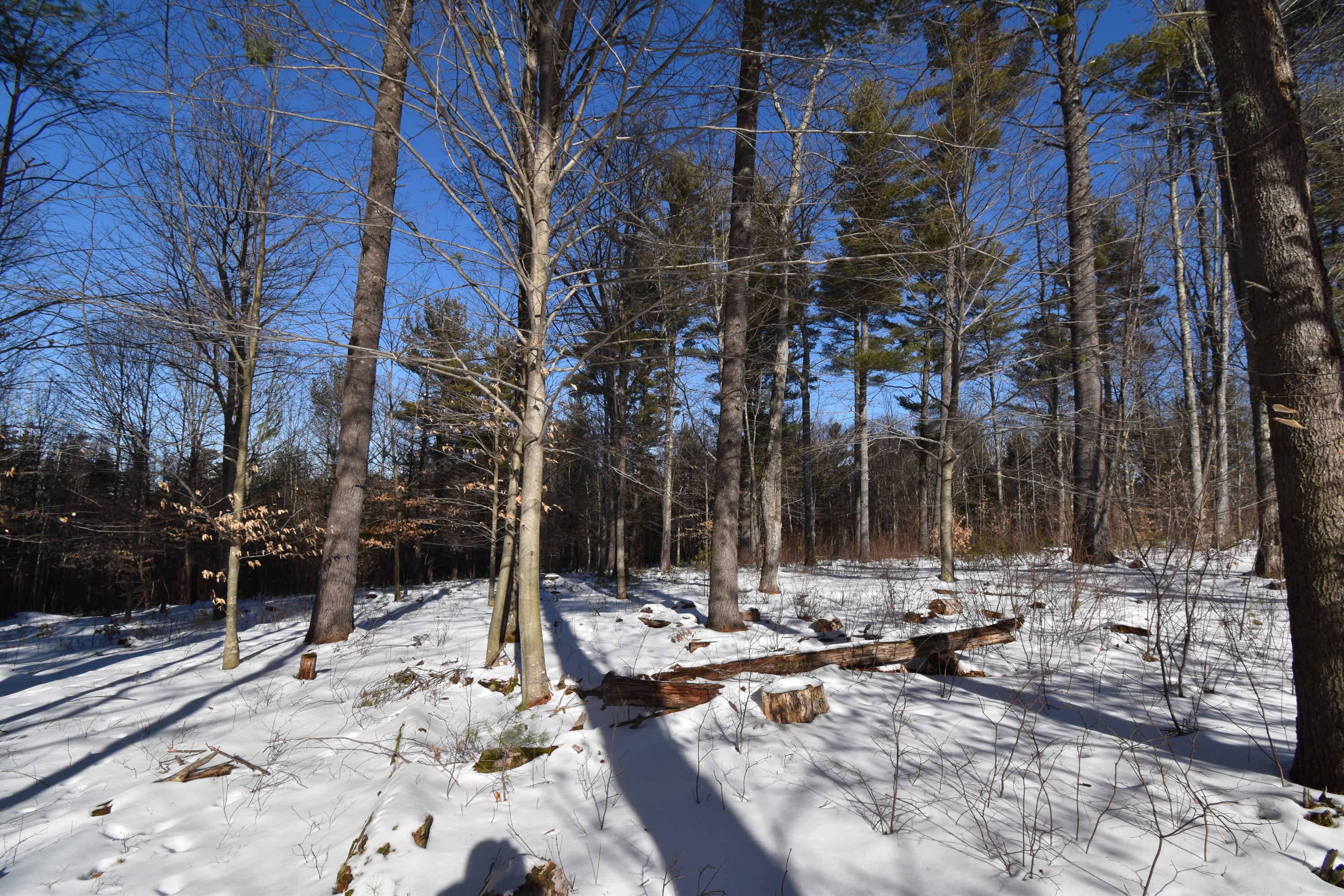360 Watson Heights Road Kents Hill, ME 04349 - Photo 62 of 77 DSC_0315