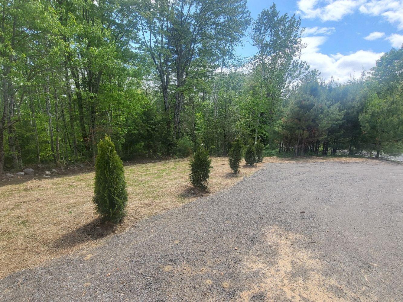 147 Keep Road Jay, ME 04239 - Photo 12 of 13 20250601_143214_resized_result