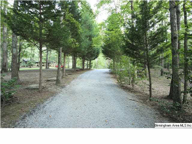 2345 Ross Lake Road Wellington, AL 36279 - Photo 2 of 31
