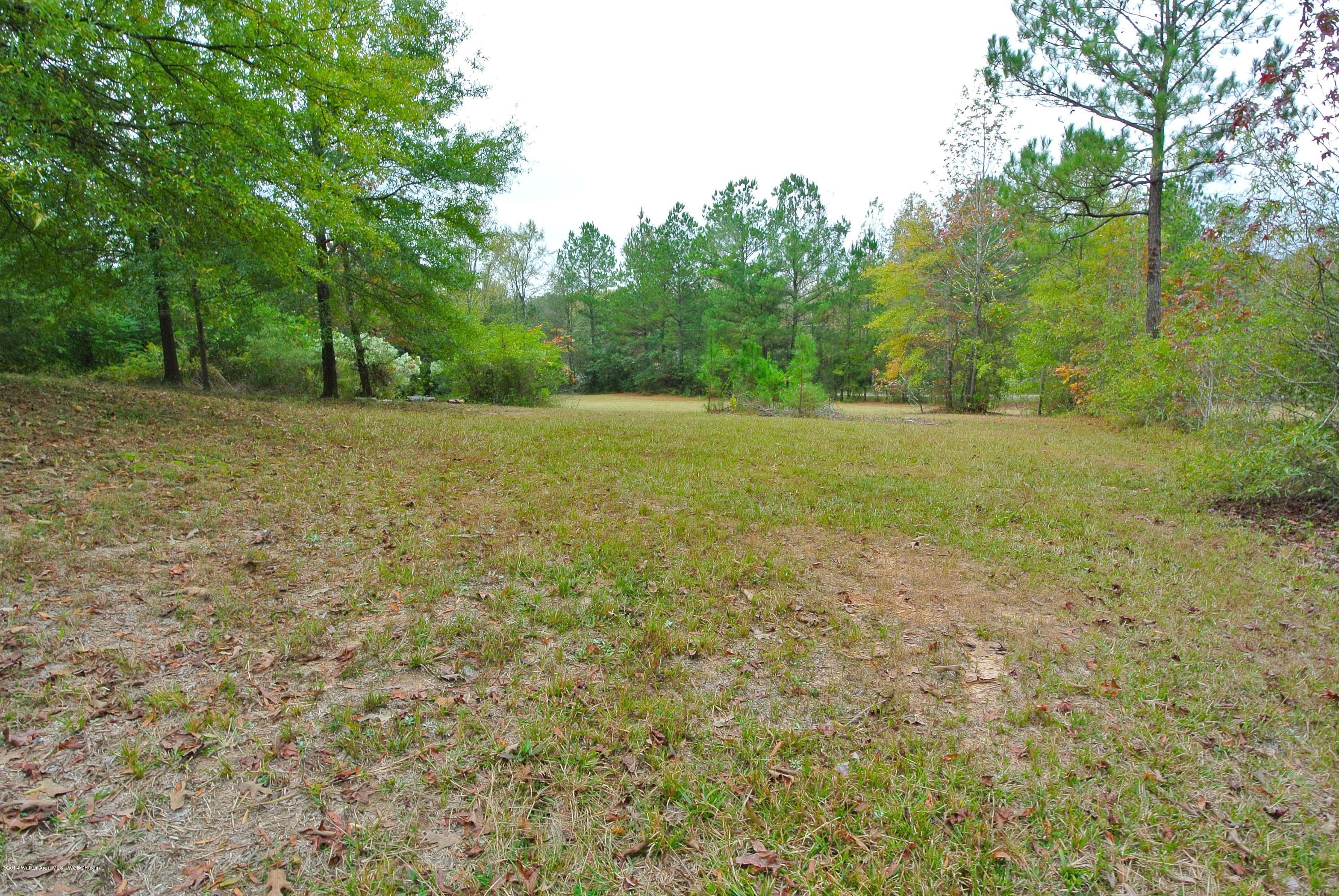 324 Ridgewood Jasper, AL 35504 - Photo 38 of 43 Gallery Image 38