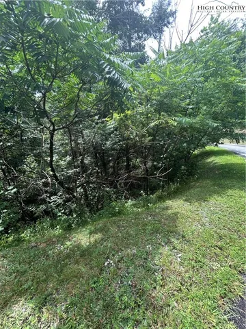 a view of outdoor space and garden
