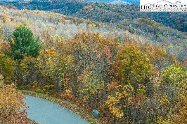 a picture of a rug with a white comforter