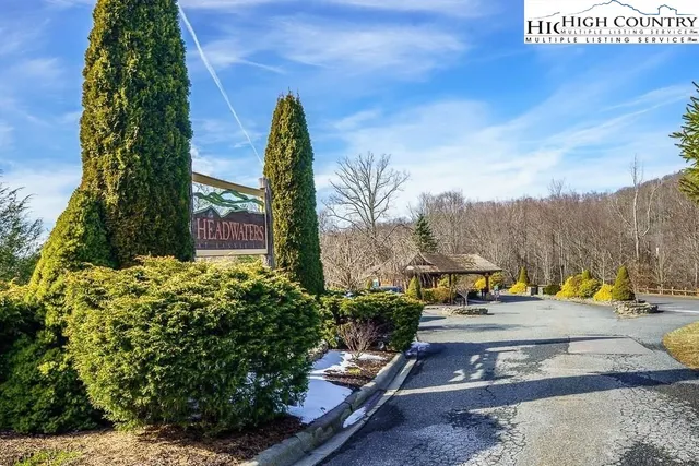 a view of path along with trees