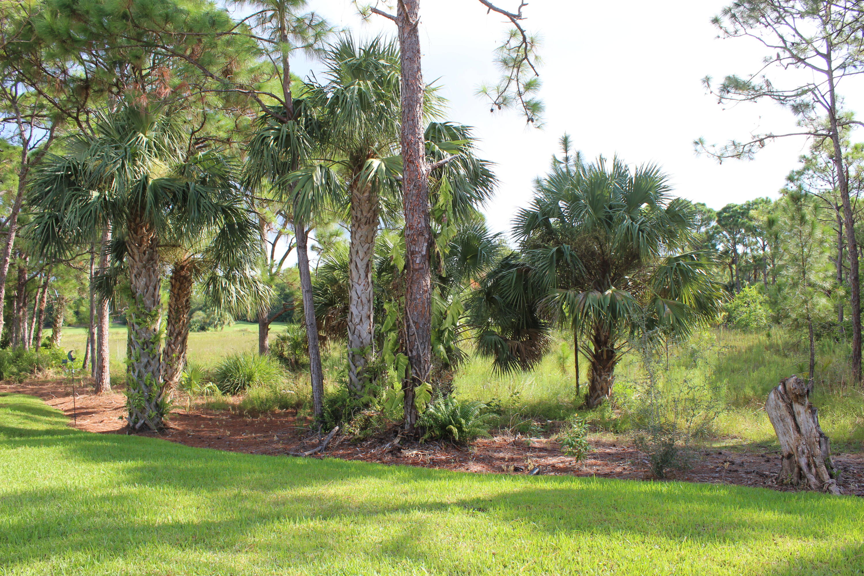 3498 Southeast Doubleton Drive Stuart, FL 34997 - Photo 29 of 42 a view of outdoor space