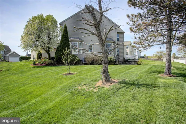 a house that has tree in front of it