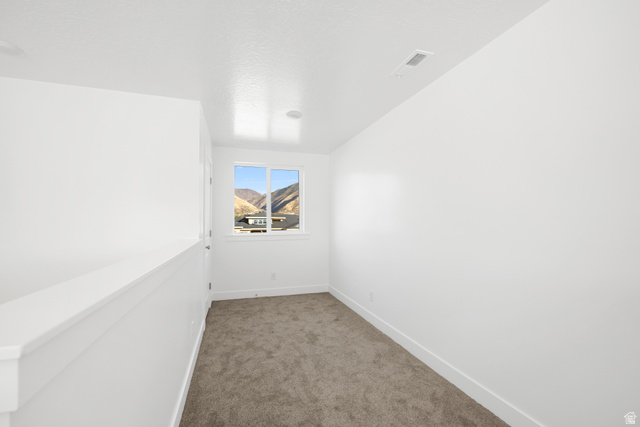 1510 West 600 North, Unit 4A Mapleton, UT 84664 - Photo 15 of 23 Spare room featuring carpet floors and a textured ceiling
