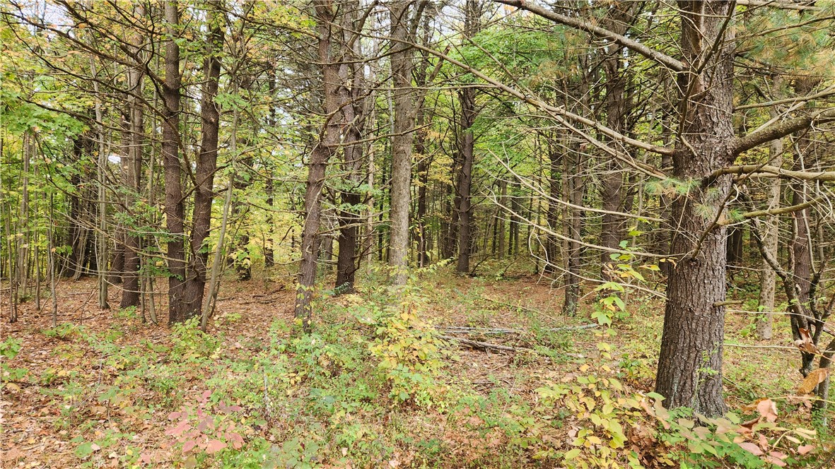 Hanyon Road Canisteo, NY 14823 - Photo 11 of 34