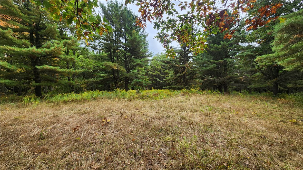 Hanyon Road Canisteo, NY 14823 - Photo 12 of 34