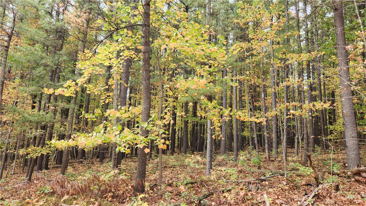 Hanyon Road Canisteo, NY 14823 - Photo 17 of 34