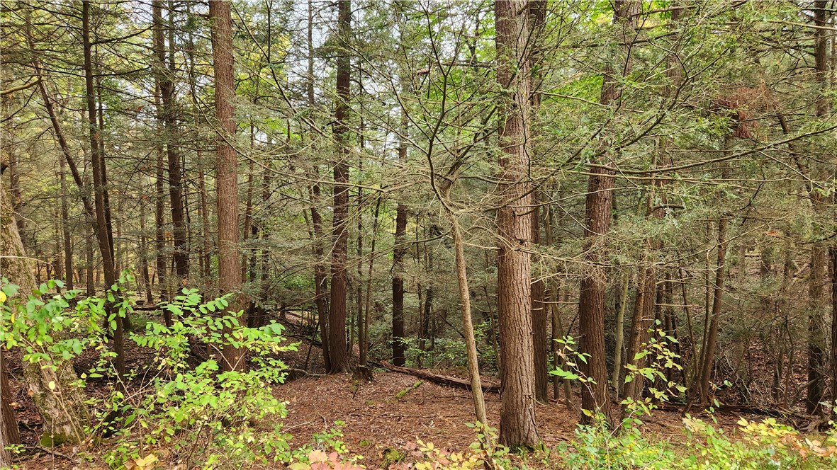 Hanyon Road Canisteo, NY 14823 - Photo 20 of 34