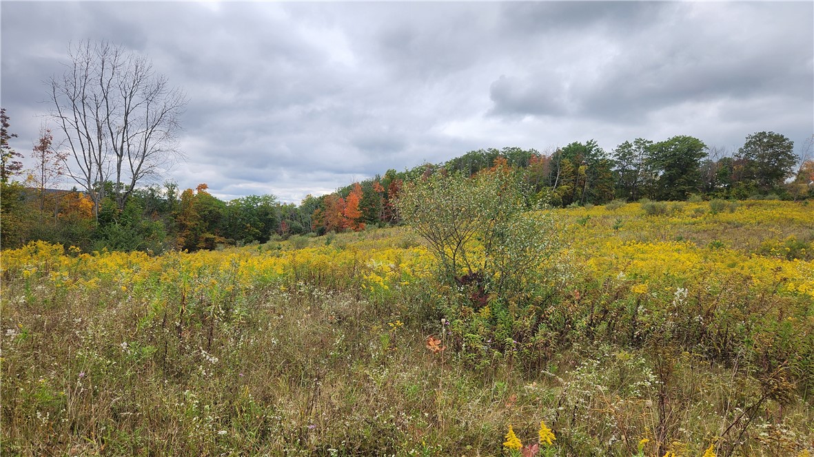 Hanyon Road Canisteo, NY 14823 - Photo 2 of 34
