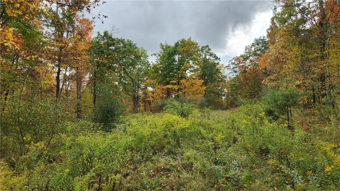 Hanyon Road Canisteo, NY 14823 - Photo 23 of 34