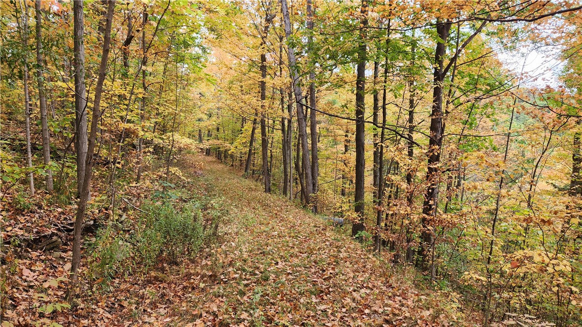 Hanyon Road Canisteo, NY 14823 - Photo 24 of 34