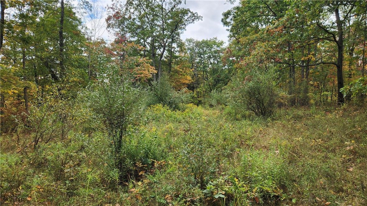 Hanyon Road Canisteo, NY 14823 - Photo 25 of 34