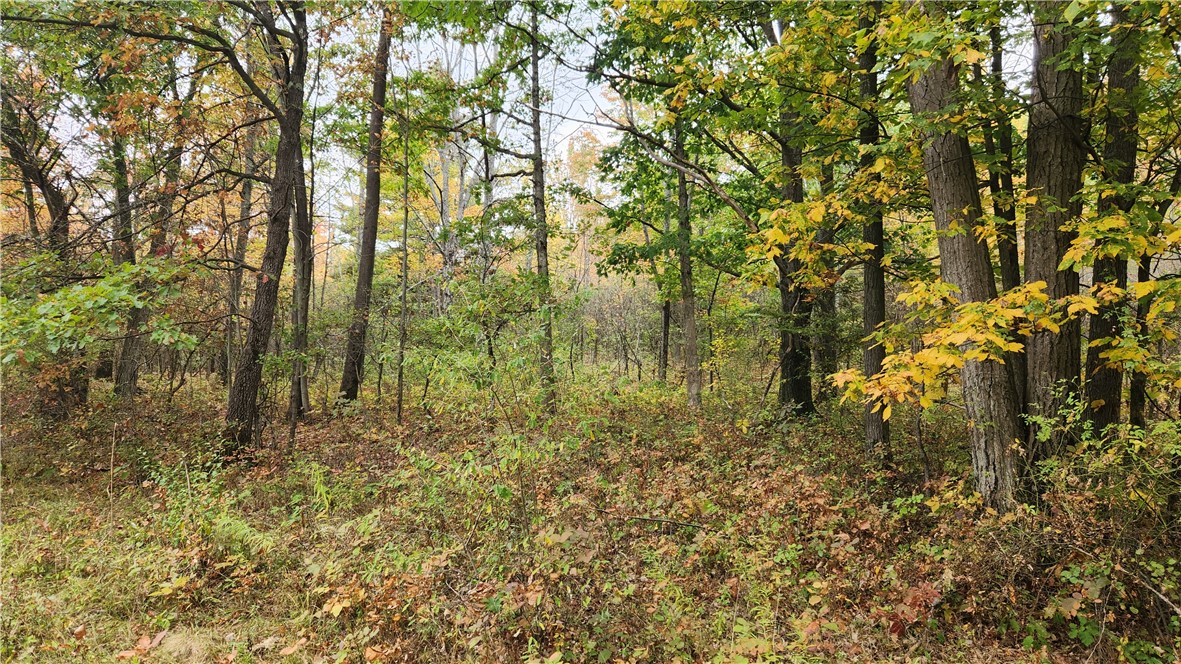 Hanyon Road Canisteo, NY 14823 - Photo 26 of 34