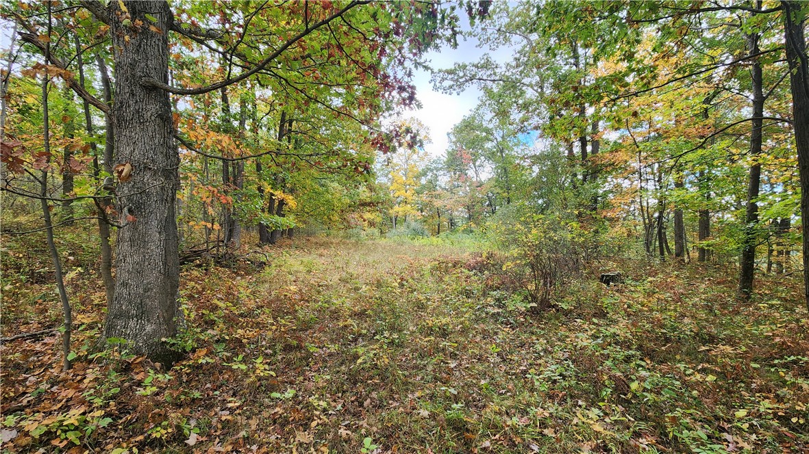 Hanyon Road Canisteo, NY 14823 - Photo 27 of 34