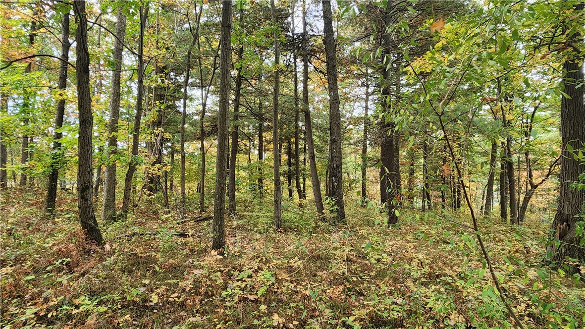 Hanyon Road Canisteo, NY 14823 - Photo 28 of 34