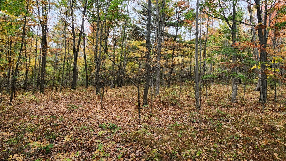 Hanyon Road Canisteo, NY 14823 - Photo 29 of 34