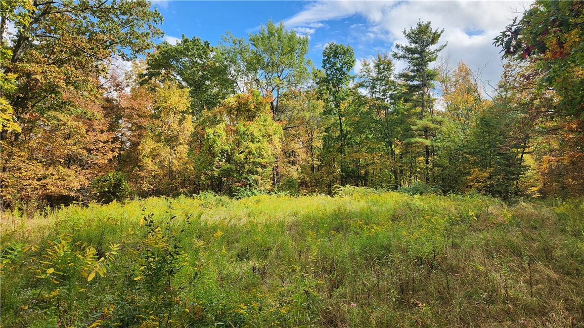 Hanyon Road Canisteo, NY 14823 - Photo 30 of 34