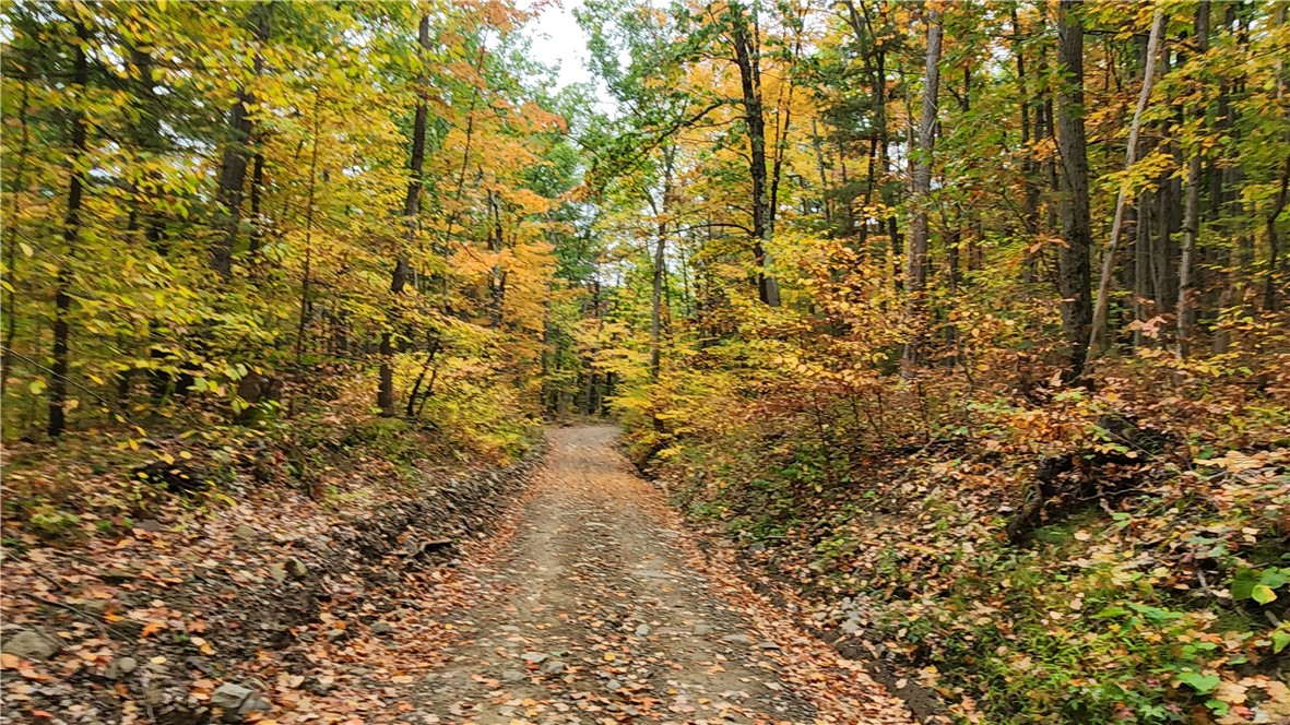 Hanyon Road Canisteo, NY 14823 - Photo 3 of 34