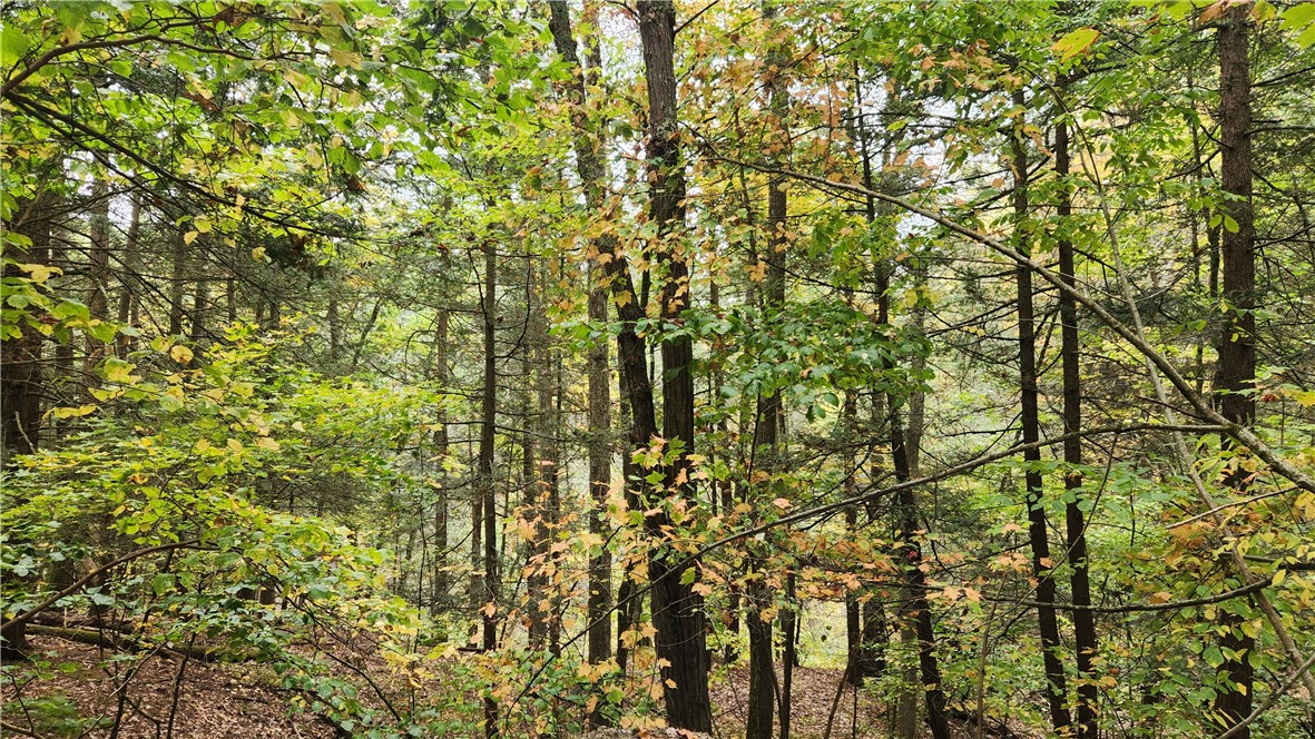 Hanyon Road Canisteo, NY 14823 - Photo 4 of 34