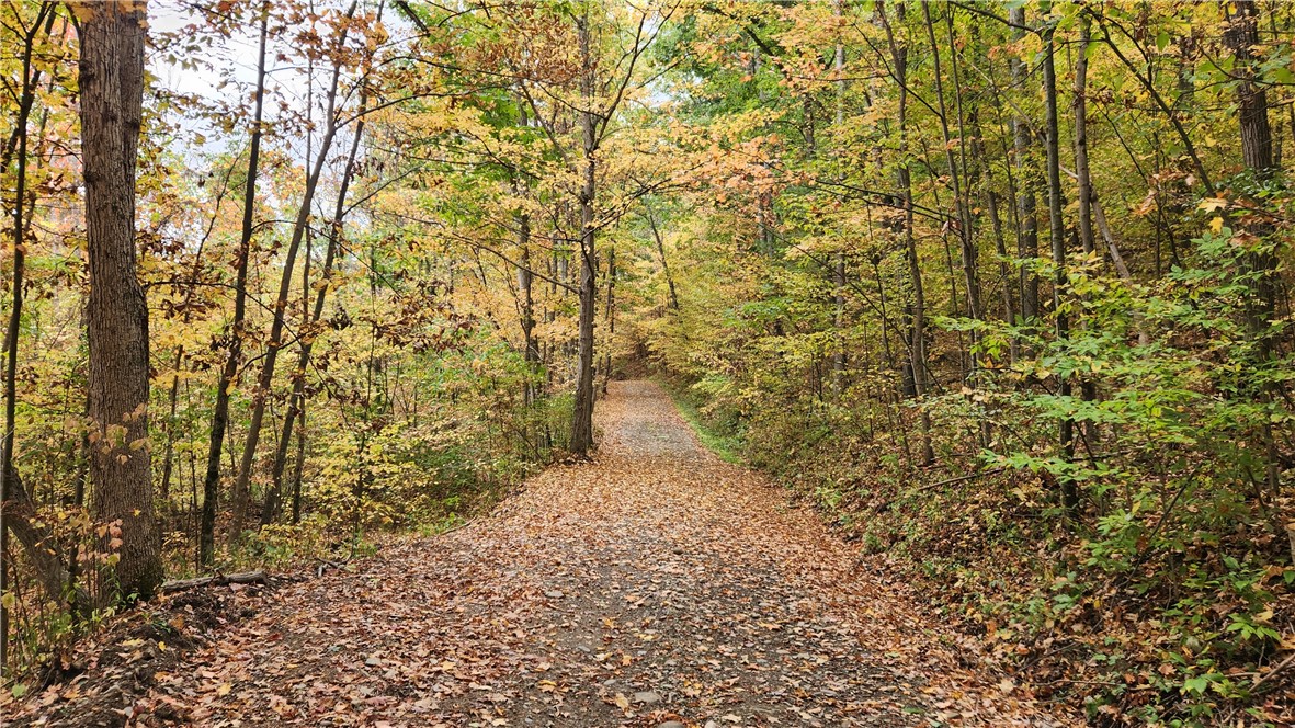 Hanyon Road Canisteo, NY 14823 - Photo 5 of 34