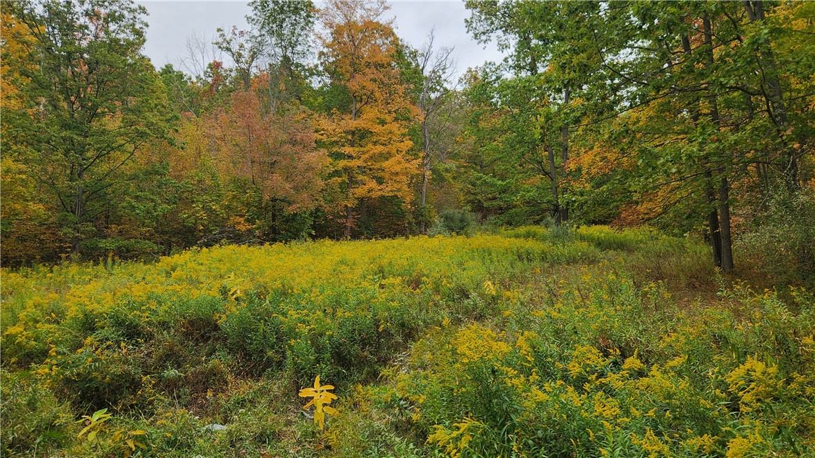 Hanyon Road Canisteo, NY 14823 - Photo 6 of 34