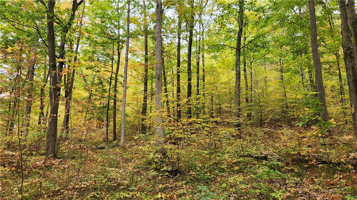 Hanyon Road Canisteo, NY 14823 - Photo 7 of 34