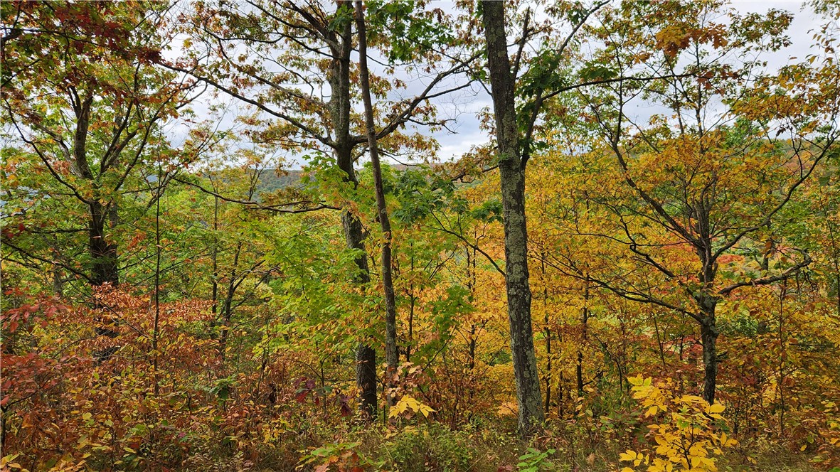 Hanyon Road Canisteo, NY 14823 - Photo 8 of 34