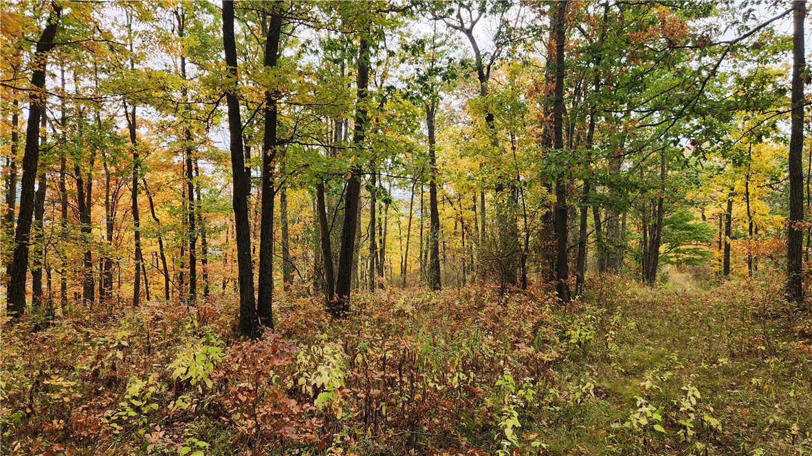 Hanyon Road Canisteo, NY 14823 - Photo 9 of 34