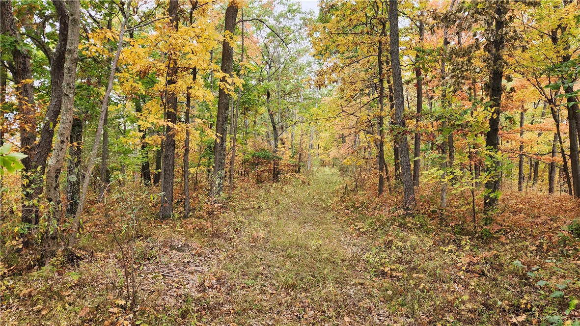 Hanyon Road Canisteo, NY 14823 - Photo 10 of 34