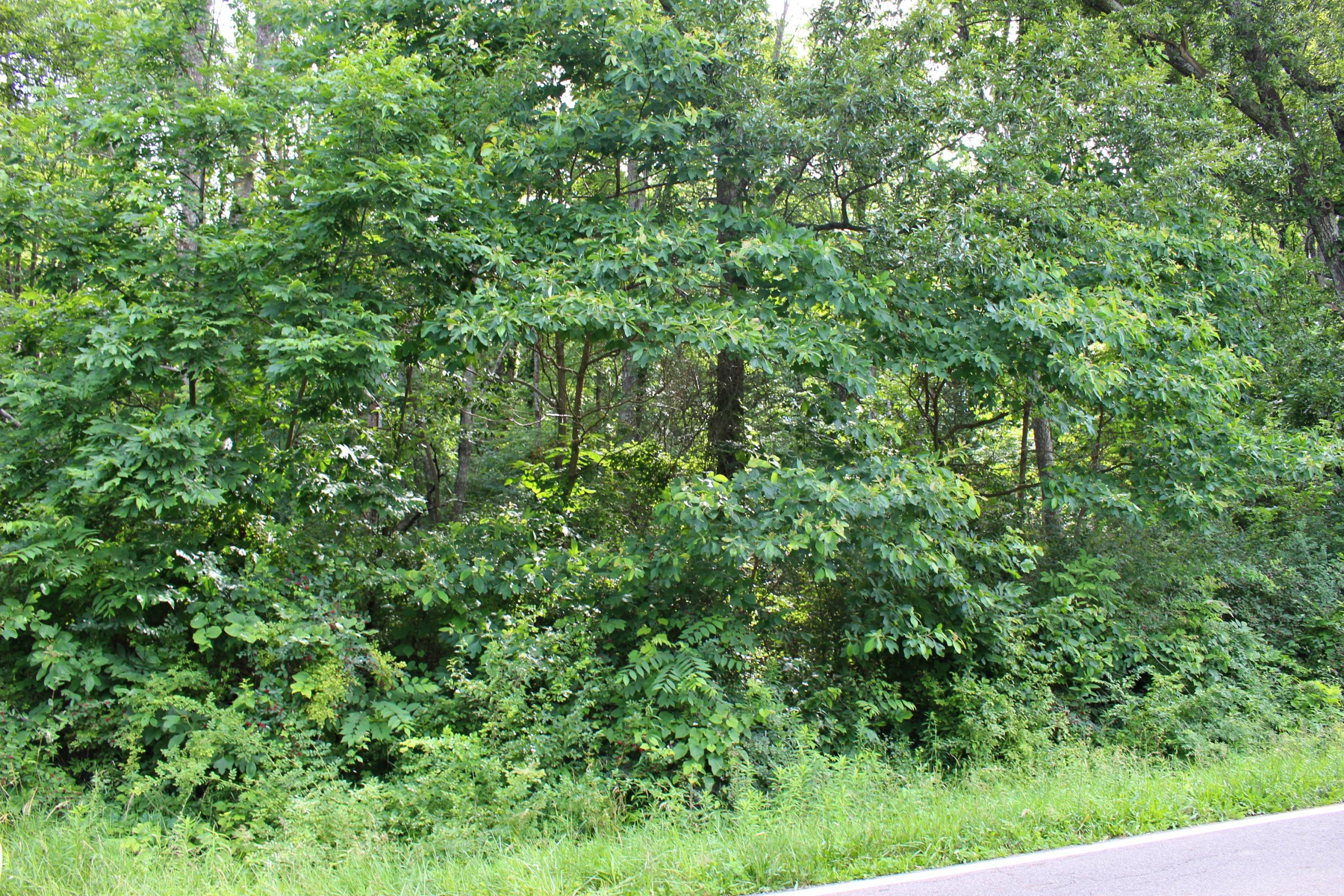 0 Flint Ridge Road Heath, OH 43056 - Photo 4 of 4