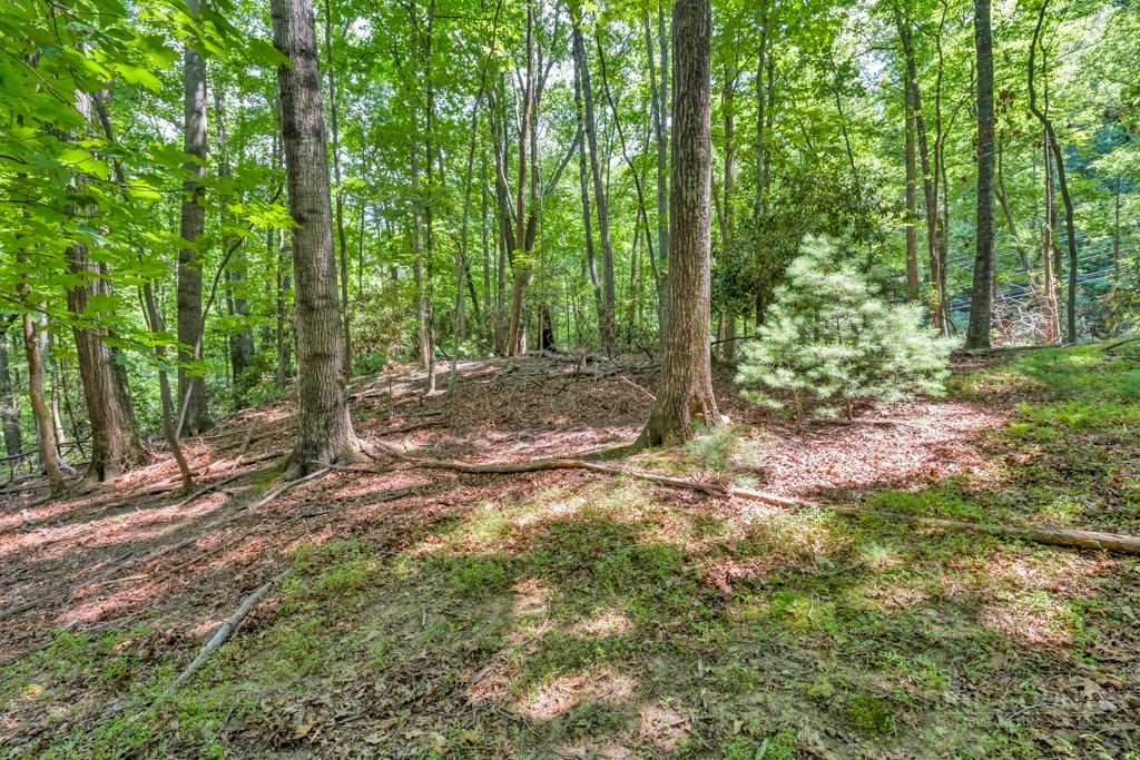 11-14 Powder Horn Mountain Road Deep Gap, NC 28618 - Photo 3 of 38