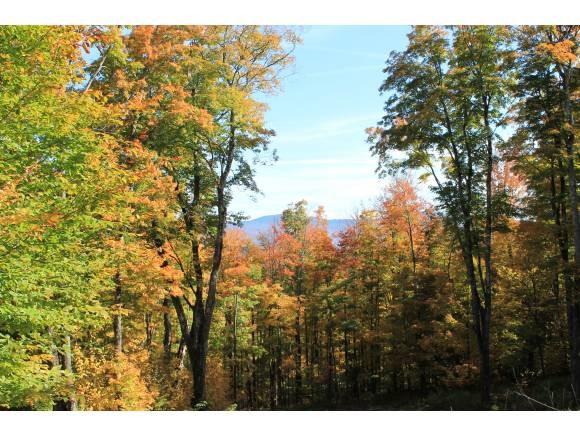 1240 Wade Pasture Road Stowe, VT 05672 - Photo 1 of 19 Gallery Image 1