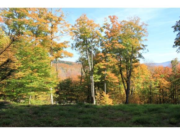 1240 Wade Pasture Road Stowe, VT 05672 - Photo 2 of 19 Gallery Image 2