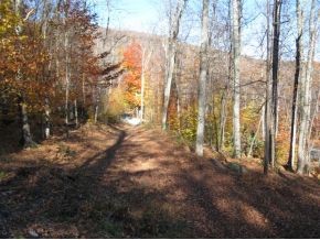 1240 Wade Pasture Road Stowe, VT 05672 - Photo 11 of 19 Gallery Image 11