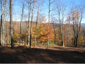 1240 Wade Pasture Road Stowe, VT 05672 - Photo 12 of 19 Gallery Image 12